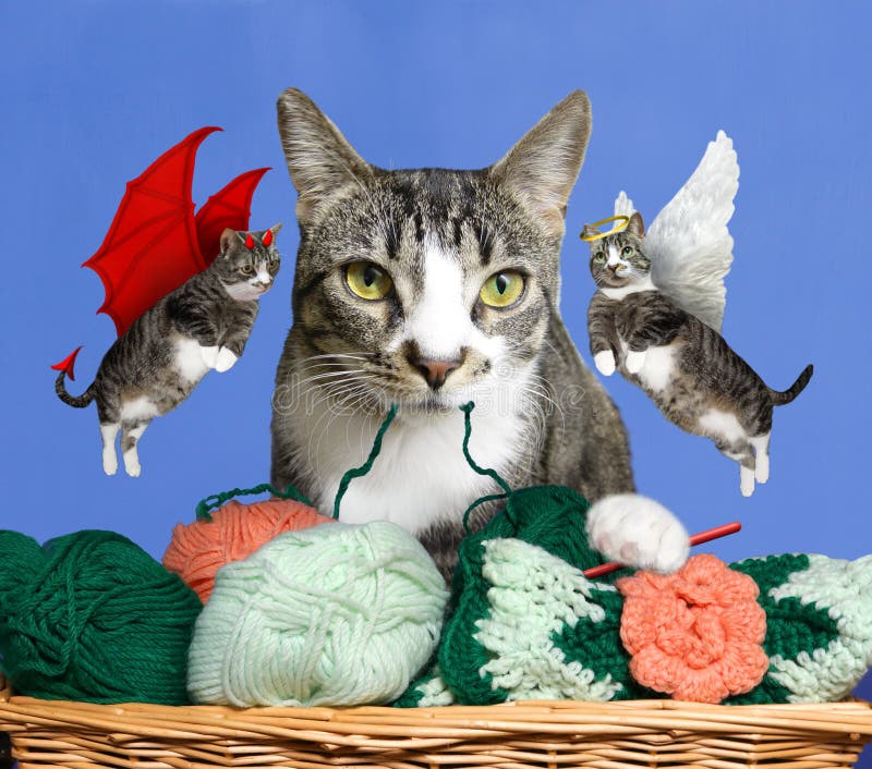 This poor cat is trying to decide whether to be well behaved or cause a little mischief. Should she play with grandma`s crochet work or go take a nap. She is clearly caught between a rock and a hard place as she contemplates being naughty or nice. Instinct tells her it would be loads of fun to drag that yarn all over the house, yet what would granny say? Sometimes it`s so difficult being a cat!. This poor cat is trying to decide whether to be well behaved or cause a little mischief. Should she play with grandma`s crochet work or go take a nap. She is clearly caught between a rock and a hard place as she contemplates being naughty or nice. Instinct tells her it would be loads of fun to drag that yarn all over the house, yet what would granny say? Sometimes it`s so difficult being a cat!