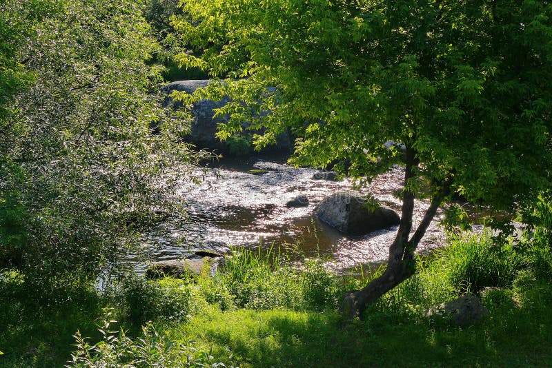 A água corrente do rio entre pedregulhos e a costa verde com grama de seda é um bom lugar a descansar