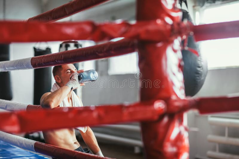 Água potável masculina do pugilista após o exercício da luta ou do exercício imagens de stock Água potável masculina do pugilista após o exercício da luta ou do exercício imagens de stock