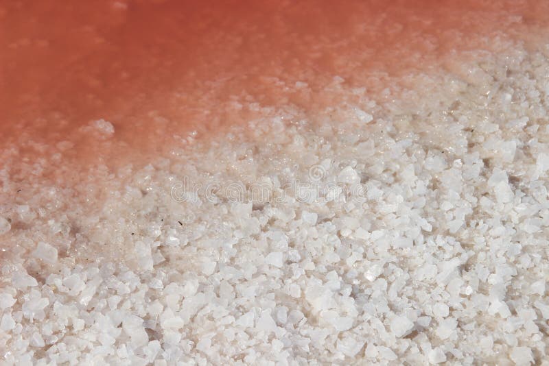 Água salgado da cor incomum do rosa com os grandes cristais de sal imagem de stock Água salgado da cor incomum do rosa com os grandes cristais de sal imagem de stock