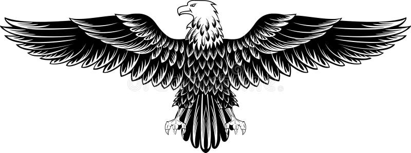 Águia ilustração do vetor Águia ilustração do vetor