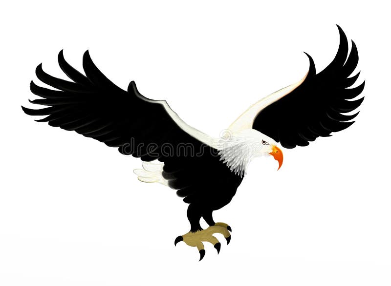 Águila calva que se eleva en cielo stock de ilustración Águila calva que se eleva en cielo stock de ilustración