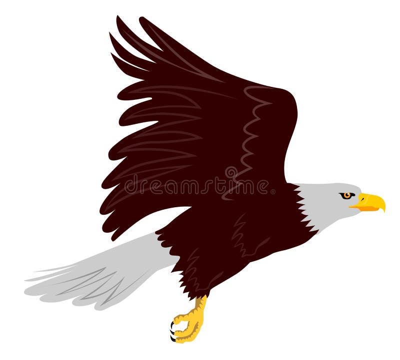 Águila en vuelo Águila en vuelo