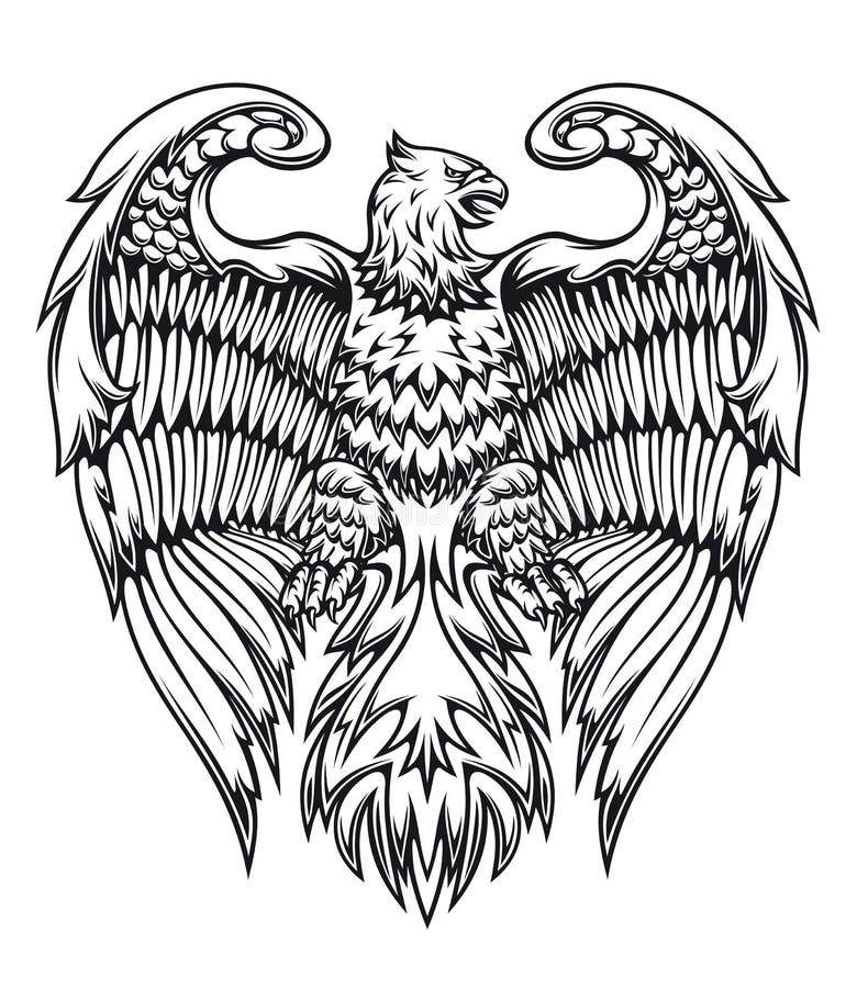 Águila o grifo de gran alcance libre illustration Águila o grifo de gran alcance libre illustration