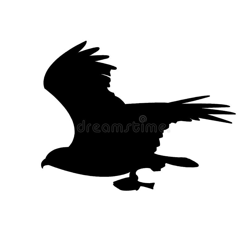 Águila, silueta del Osprey stock de ilustración