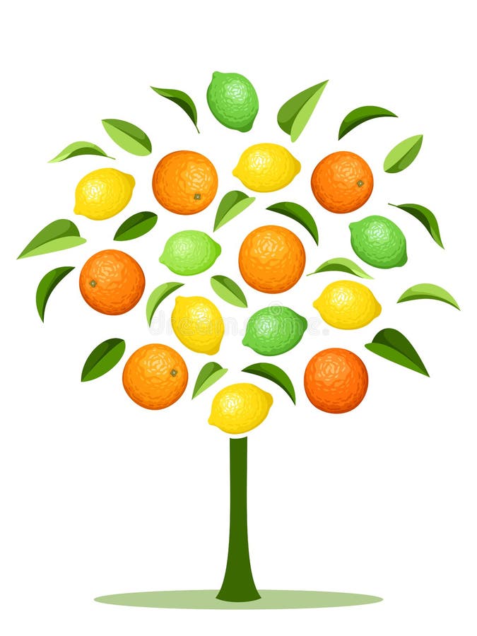 Árbol abstracto con diversos agrios. stock de ilustración Árbol abstracto con diversos agrios. stock de ilustración