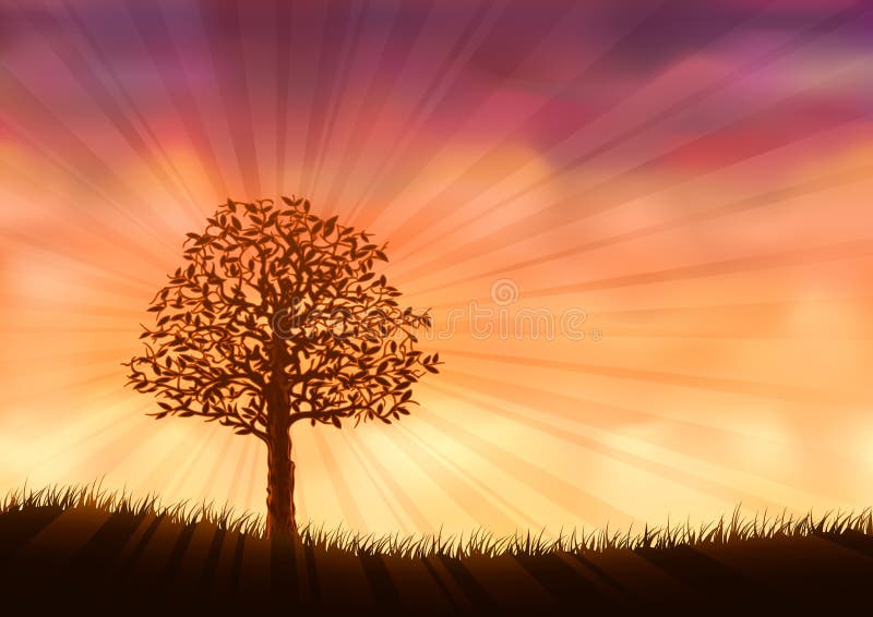 Árbol de verano naranja stock de ilustración