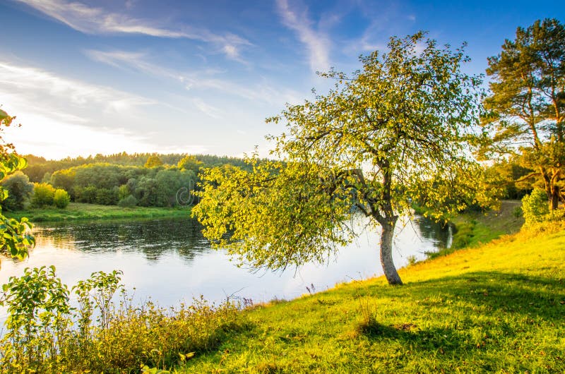 Árbol cerca del río, paisaje escénico de la naturaleza imagen de archivo libre de regalías Árbol cerca del río, paisaje escénico de la naturaleza imagen de archivo libre de regalías
