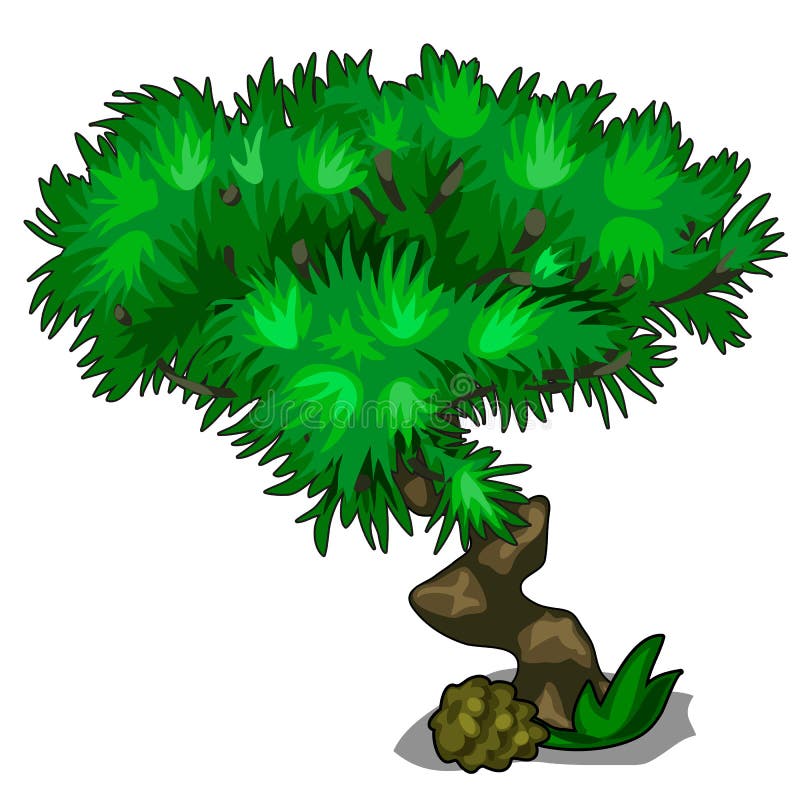 Árbol con la corona curvada del tronco y del borrachín de hojas stock de ilustración Árbol con la corona curvada del tronco y del borrachín de hojas stock de ilustración