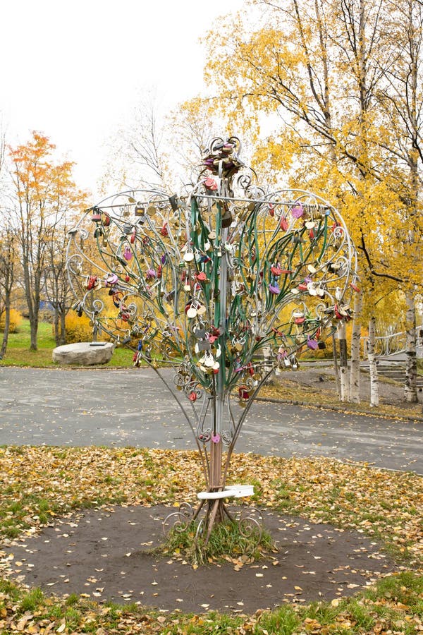 Árbol con las cerraduras de los recién casados en parque fotos de archivo libres de regalías Árbol con las cerraduras de los recién casados en parque fotos de archivo libres de regalías
