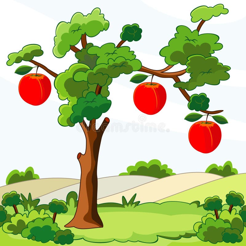 My Image 15