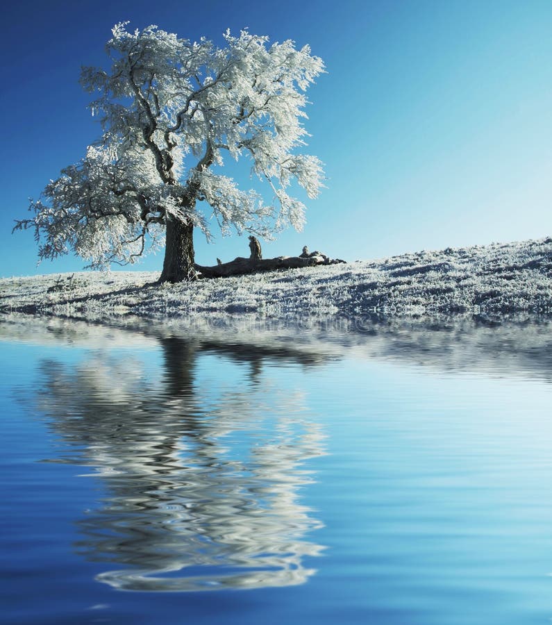 Christmas background-alone frozen tree reflection. Christmas background-alone frozen tree reflection