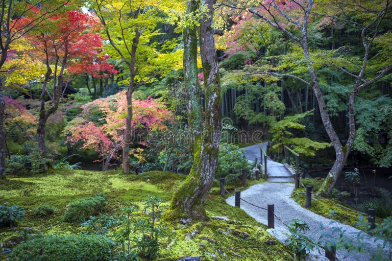 Árbol de arce rojo japonés durante otoño en jardín en el templo de Enkoji en Kyoto, Japón imagen de archivo Árbol de arce rojo japonés durante otoño en jardín en el templo de Enkoji en Kyoto, Japón imagen de archivo