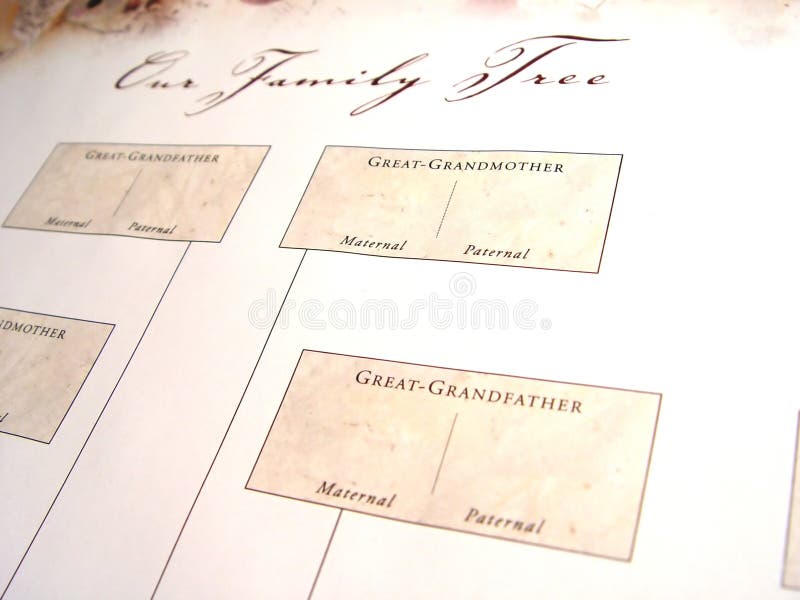 Árbol de familia en blanco fotos de archivo Árbol de familia en blanco fotos de archivo