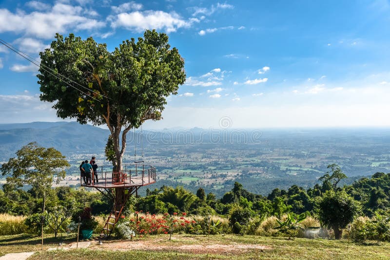 Árbol de la forma del corazón del amor con el cielo azul y la nube blanca en selva del verano en la montaña de Noen Maprang en la imagenes de archivo Árbol de la forma del corazón del amor con el cielo azul y la nube blanca en selva del verano en la montaña de Noen Maprang en la imagenes de archivo
