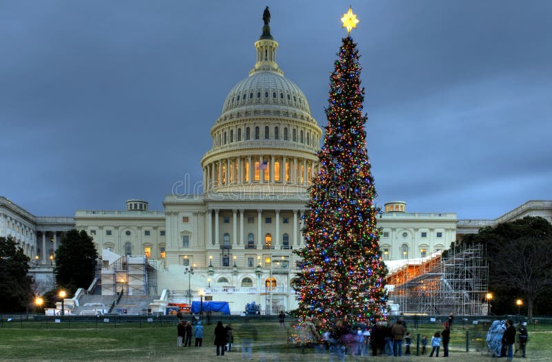 Árbol de navidad del capitolio de los E. E. U. fotos de archivo.