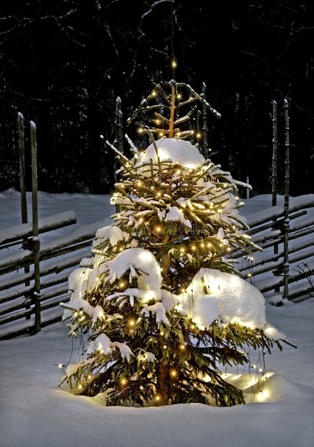 Árbol de navidad en la noche imágenes de archivo libres de regalías Árbol de navidad en la noche imágenes de archivo libres de regalías
