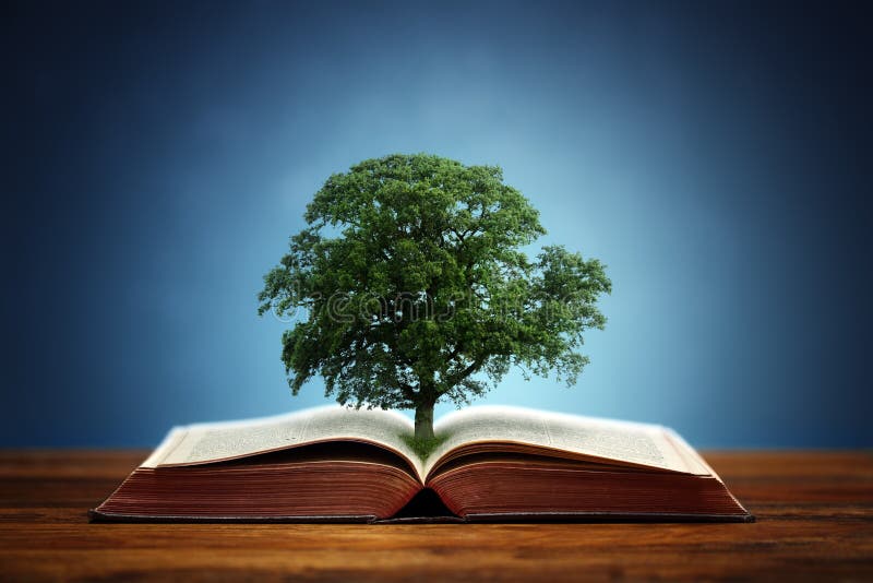 Árbol del conocimiento Árbol del conocimiento