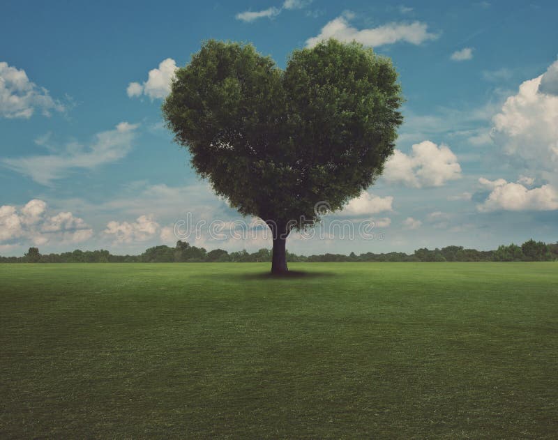 Árbol del corazón foto de archivo libre de regalías Árbol del corazón foto de archivo libre de regalías