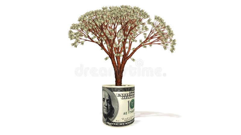 Árbol del dólar que crece el billete de banco interior de USD, cantidad común