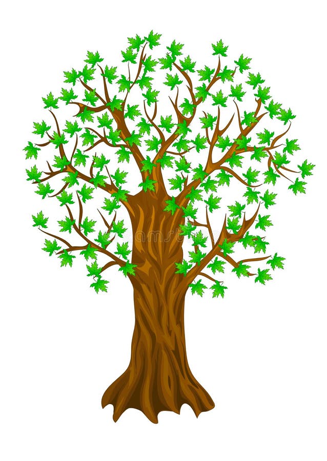 Árbol de verano libre illustration