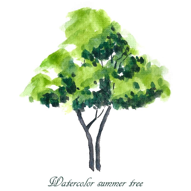 Árbol de verano stock de ilustración