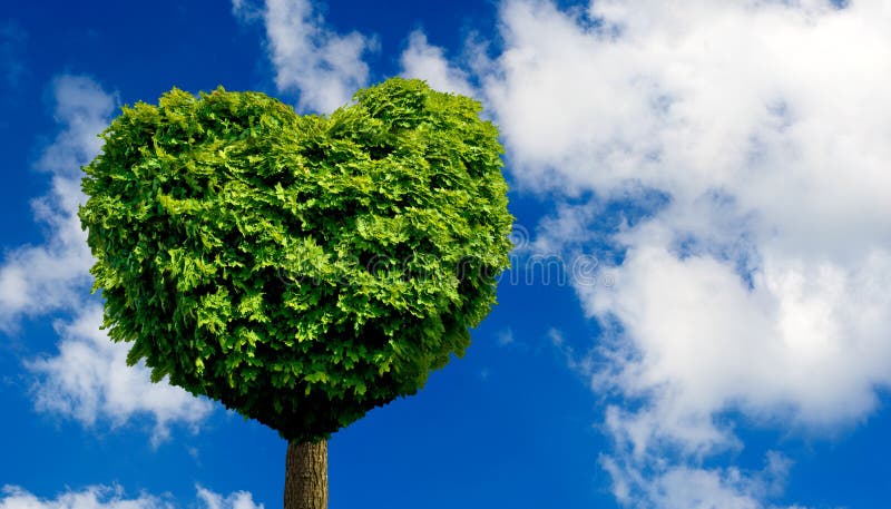 árbol en la forma del corazón como símbolo del amor y de la dedicación ilustración del vector árbol en la forma del corazón como símbolo del amor y de la dedicación ilustración del vector