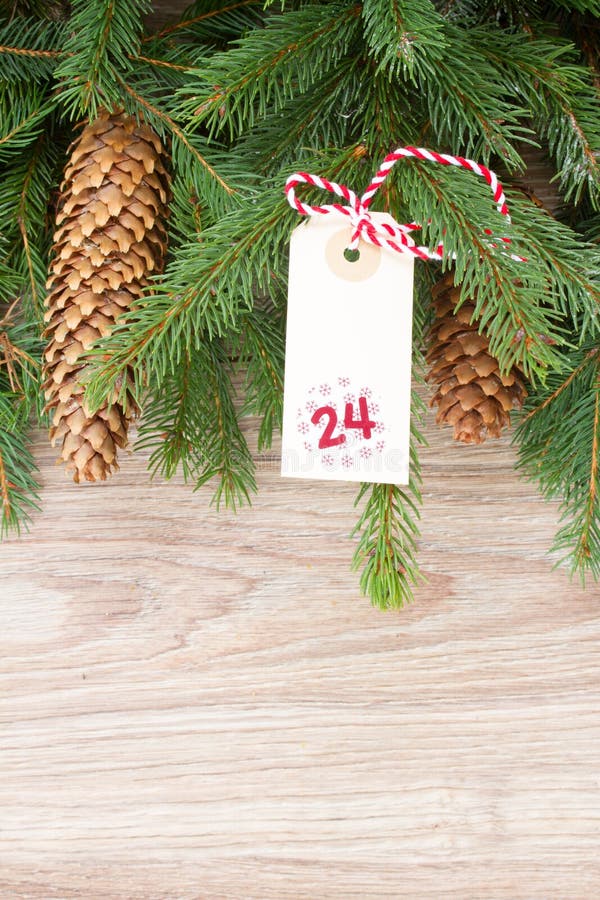 Árbol imperecedero con los conos y la etiqueta de la Navidad fotografía de archivo libre de regalías Árbol imperecedero con los conos y la etiqueta de la Navidad fotografía de archivo libre de regalías
