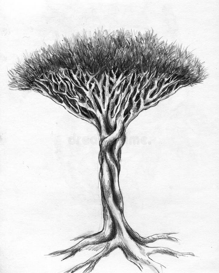 Árbol inusual - gráfico de lápiz libre illustration Árbol inusual - gráfico de lápiz libre illustration