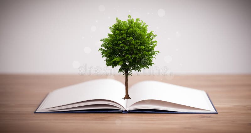 Árbol creciendo de un libro abierto imagen de archivo libre de regalías