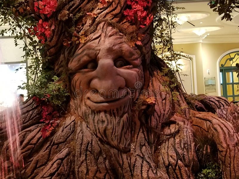 Árbol que habla foto de archivo libre de regalías Árbol que habla foto de archivo libre de regalías