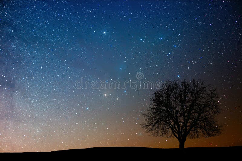 Árbol solo en noche estrellada Región de Antares imágenes de archivo libres de regalías Árbol solo en noche estrellada Región de Antares imágenes de archivo libres de regalías