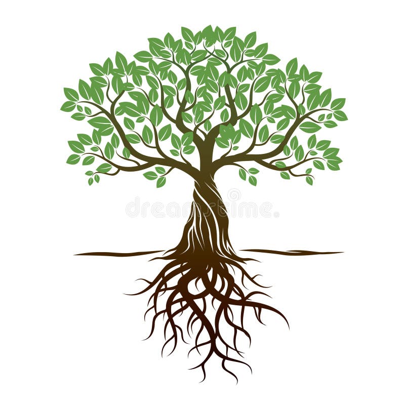 Árbol y raíces del color Ilustración del vector