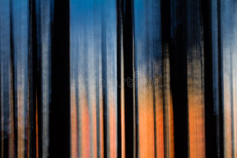 Árboles borrosos movimiento abstracto en la puesta del sol imagen de archivo libre de regalías Árboles borrosos movimiento abstracto en la puesta del sol imagen de archivo libre de regalías