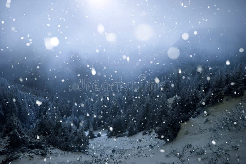 Árboles cubiertos con la escarcha y la nieve en montañas del invierno - Chri fotografía de archivo Árboles cubiertos con la escarcha y la nieve en montañas del invierno - Chri fotografía de archivo