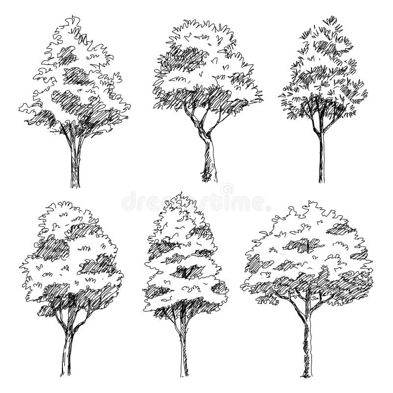 árboles de arquitectos dibujados a mano