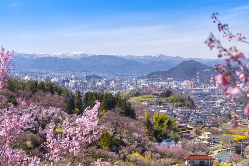 Árboles de la flor de cerezo y x28; Sakura& x29; y muchas clases de flores en Hanam imagen de archivo Árboles de la flor de cerezo y x28; Sakura& x29; y muchas clases de flores en Hanam imagen de archivo