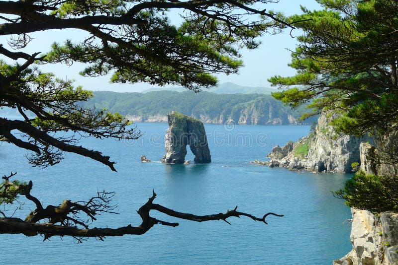 Árboles de pino costeros en una situación sola de la roca en el medio del mar, fotografía de archivo libre de regalías Árboles de pino costeros en una situación sola de la roca en el medio del mar, fotografía de archivo libre de regalías