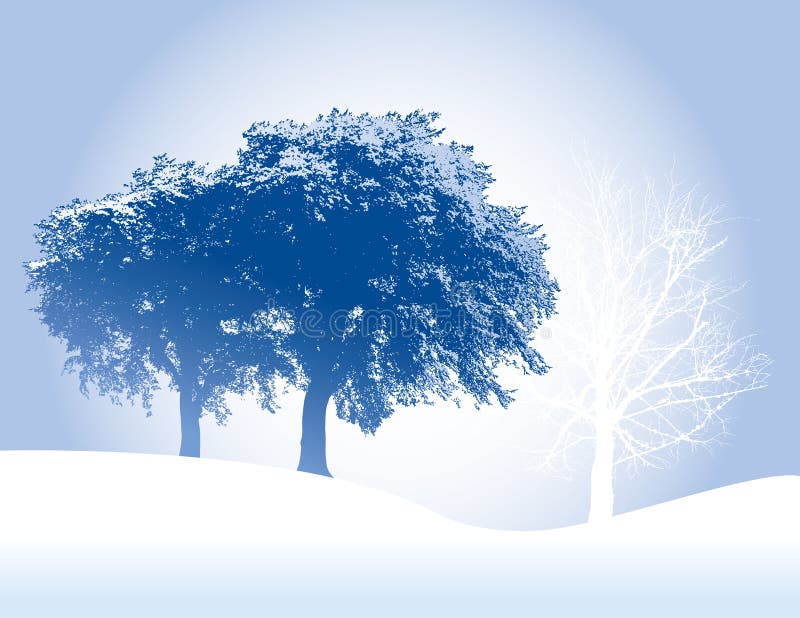 Árboles del invierno ilustración del vector Árboles del invierno ilustración del vector