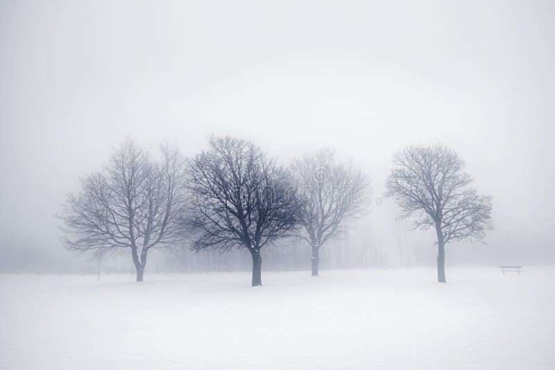 Árboles del invierno en niebla fotos de archivo libres de regalías Árboles del invierno en niebla fotos de archivo libres de regalías