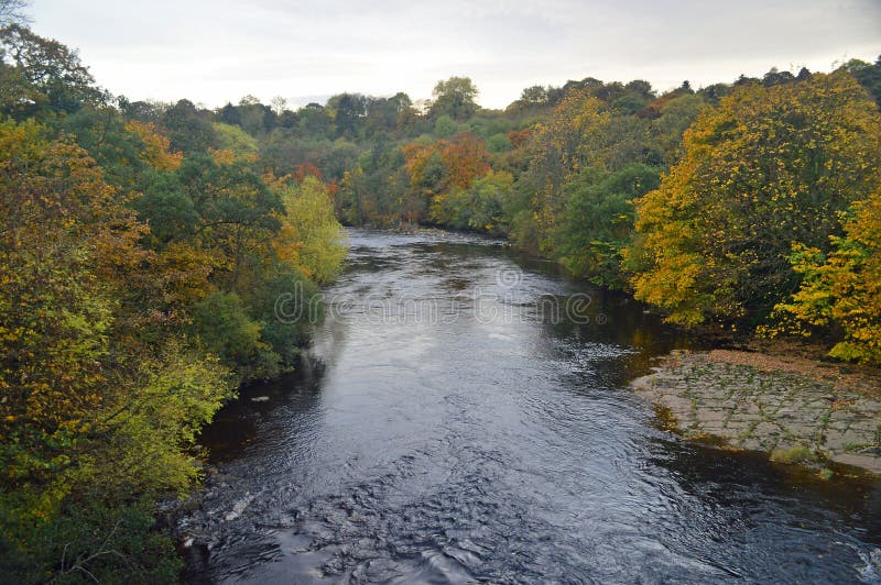 Árboles del otoño por el swale del río imágenes de archivo libres de regalías Árboles del otoño por el swale del río imágenes de archivo libres de regalías