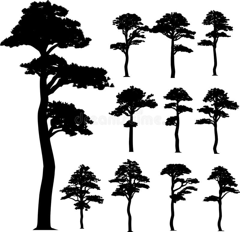 Árboles del vector de la colección (pino)