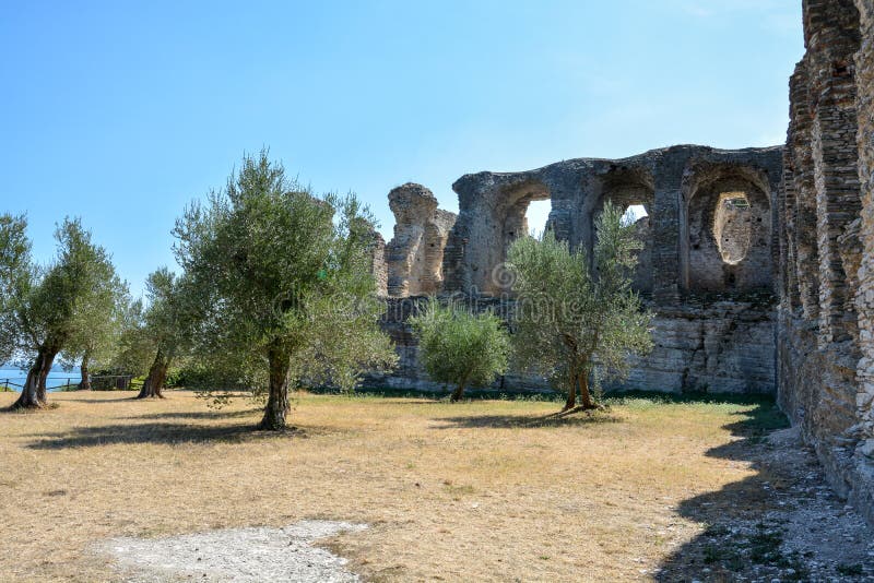 Árboles delante de la gruta di Catullo cerca de Sirmione en el lago GA foto de archivo libre de regalías Árboles delante de la gruta di Catullo cerca de Sirmione en el lago GA foto de archivo libre de regalías