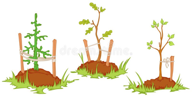 Árboles jovenes ilustración del vector Árboles jovenes ilustración del vector