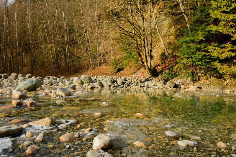 Árboles y piedras en Lynn Creek foto de archivo libre de regalías Árboles y piedras en Lynn Creek foto de archivo libre de regalías