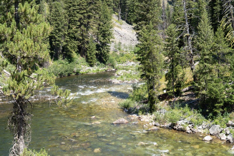 Área de Idaho, um ponto popular de Boundary Creek para começar uma viagem transportando na forquilha média de Salmon River