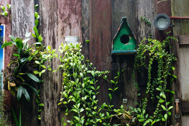 Árvore acima da parede Fundo natural imagem de stock