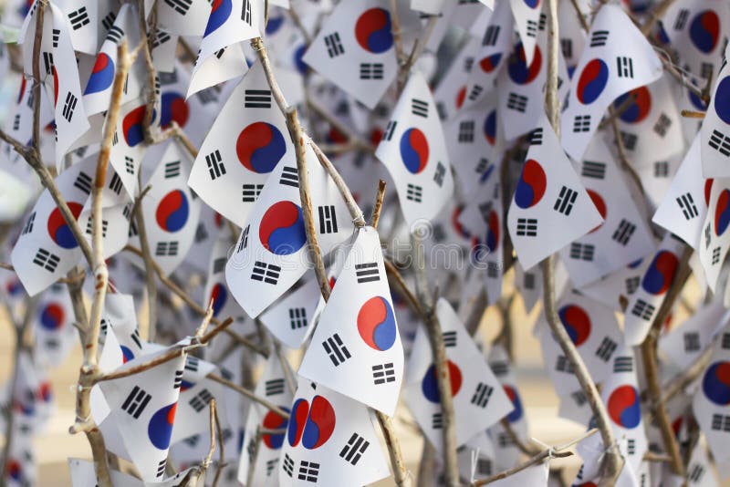 The tree with Korean flags, Seoul close-up korean flags. The tree with Korean flags, Seoul close-up korean flags