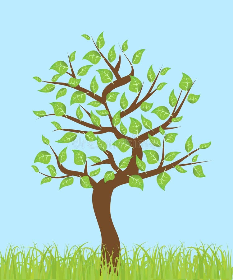 Árvore com folhas ilustração do vetor Árvore com folhas ilustração do vetor