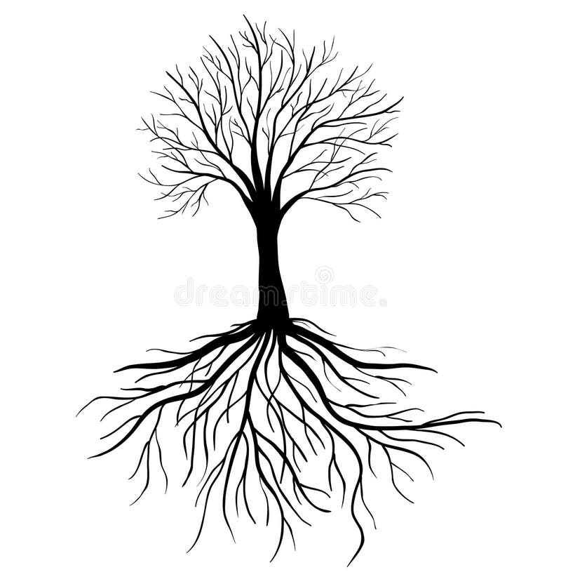Árvore com raízes ilustração stock